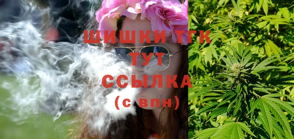 тгк Алексин